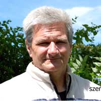 Fuszkó István